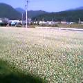 106313097100015864_pic_0328.jpg