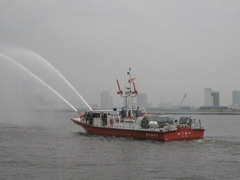 1733.jpg