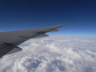 R7221000.jpg