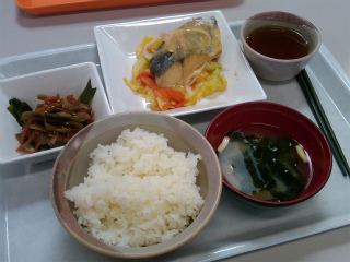 IMG00014-20110404-2316.jpg