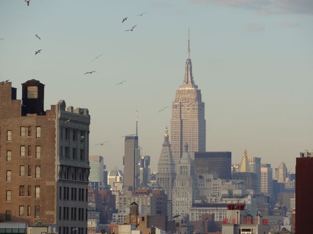 DSC00516_2.jpg