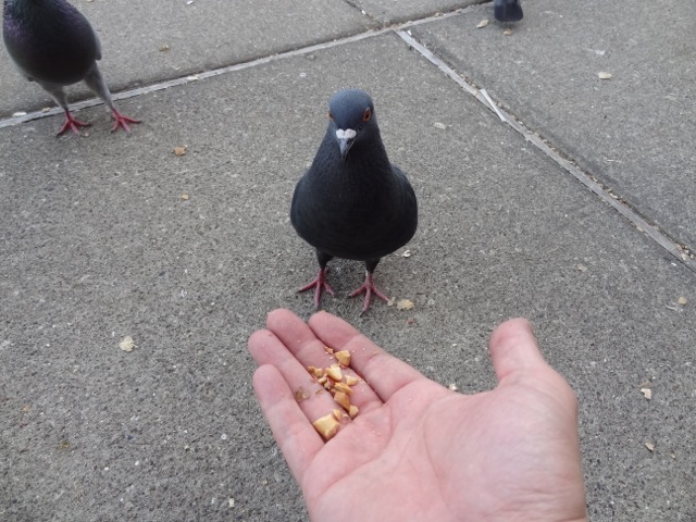 image.jpeg