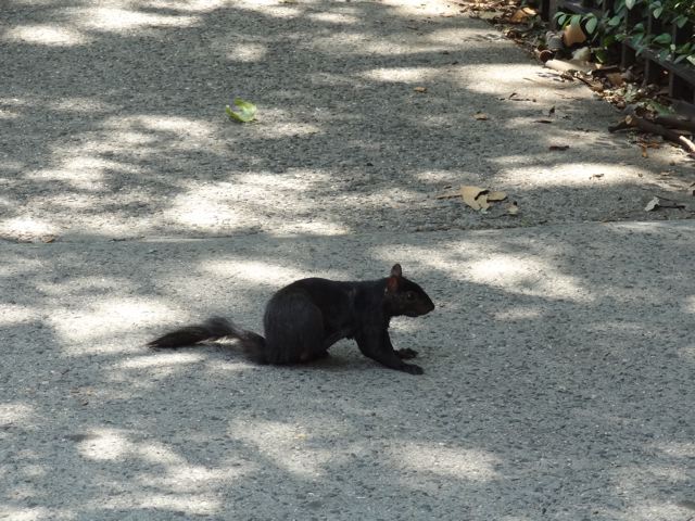DSC02525.jpg