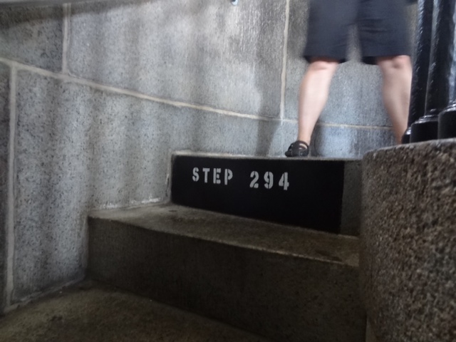 image.jpeg