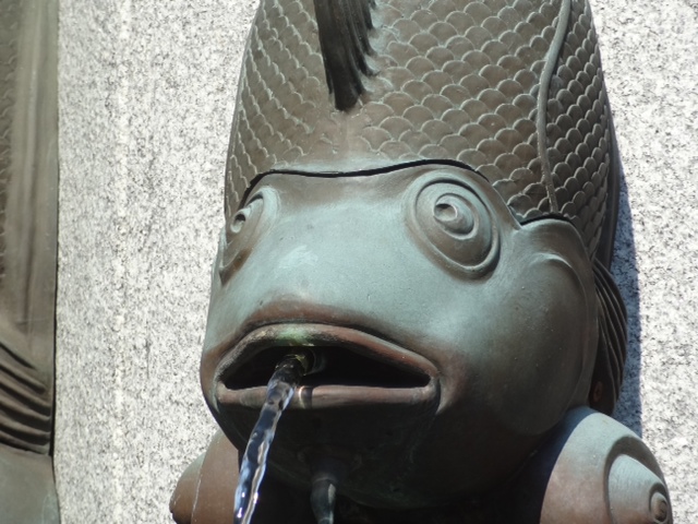 image.jpeg
