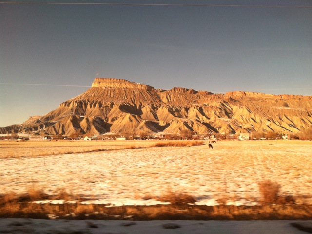 IMG_0390.jpeg
