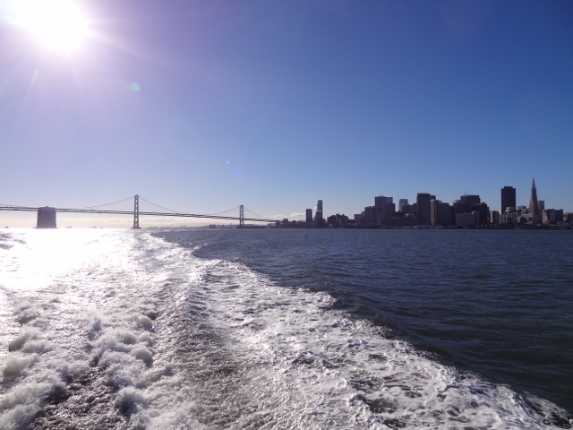 DSC00249.jpeg