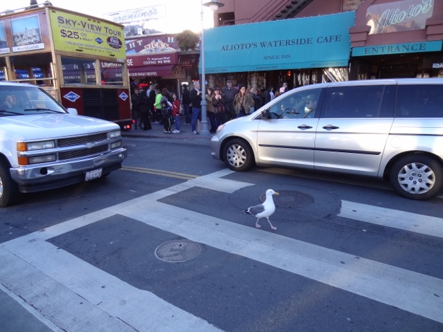 DSC00490.jpeg