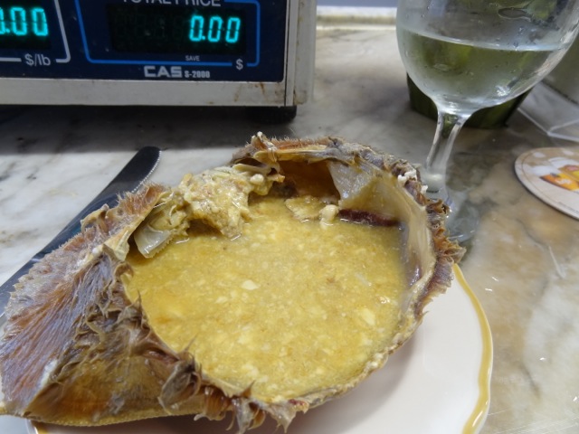 DSC00569.jpeg