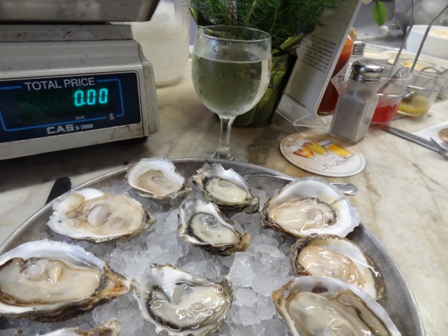 DSC00568.jpeg