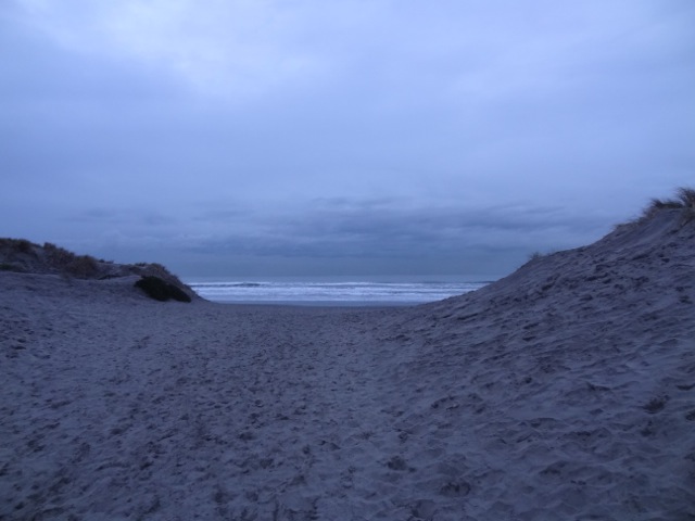 DSC00630.jpeg