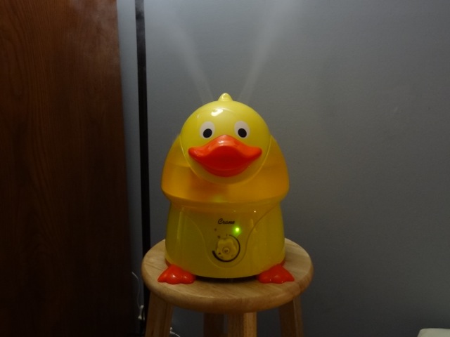 DSC00680.jpeg