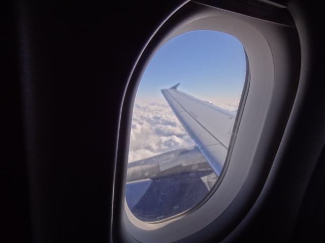 DSC00803.jpeg