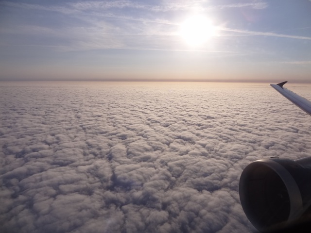 DSC01010.jpeg