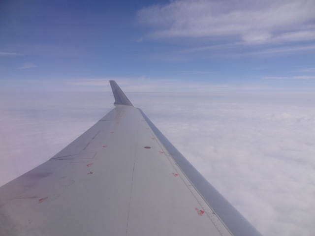 DSC01643.jpeg