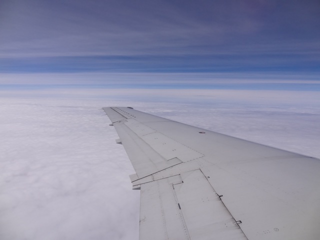 DSC01593.jpeg