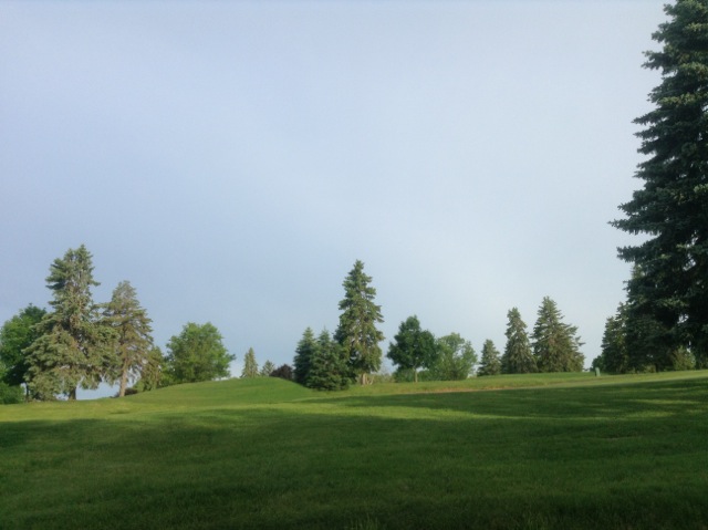 IMG_0153.jpeg