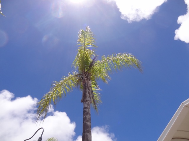 DSC01680.jpeg