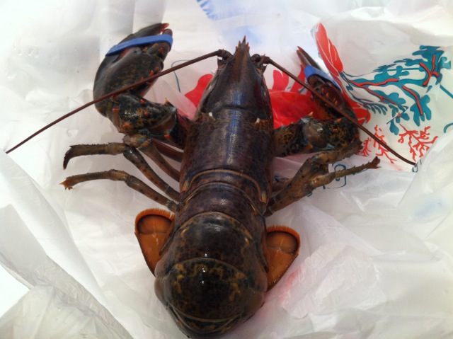 IMG_1832.jpeg