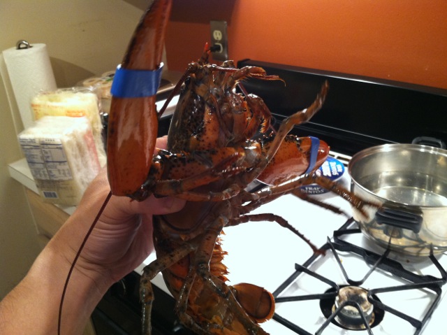 IMG_1830.jpeg