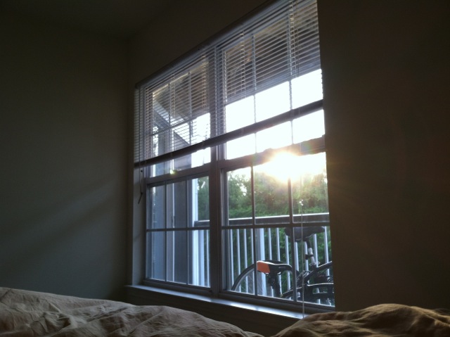 IMG_1916.jpeg