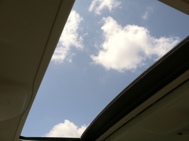 IMG_1990.jpeg