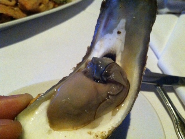 IMG_2065.jpeg