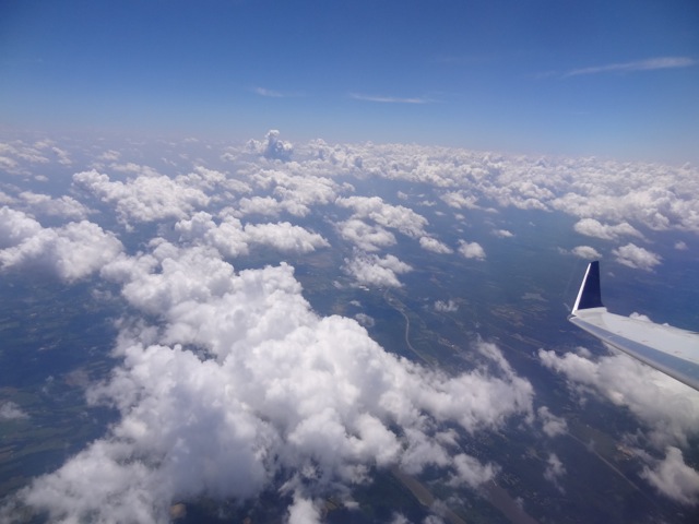 DSC01957.jpeg