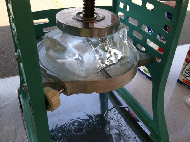 IMG_2386.jpeg