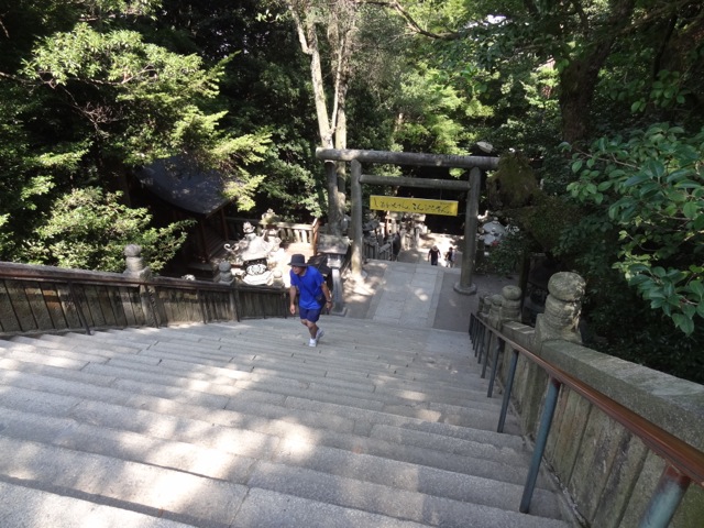 DSC02258.jpeg