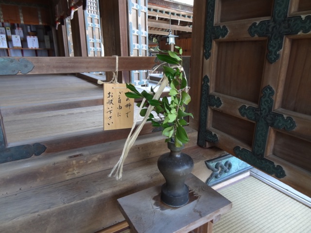DSC02255.jpeg