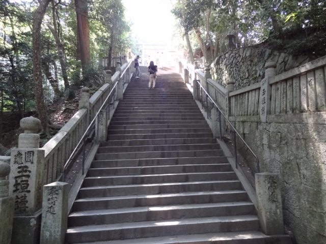 DSC02251.jpeg