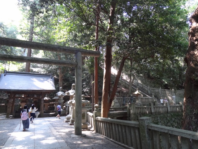 DSC02250.jpeg