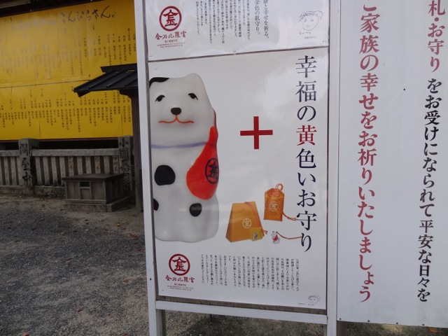 DSC02246.jpeg