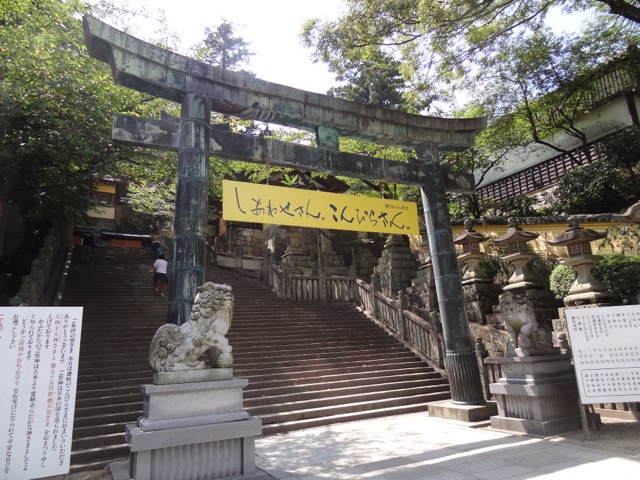 DSC02245.jpeg