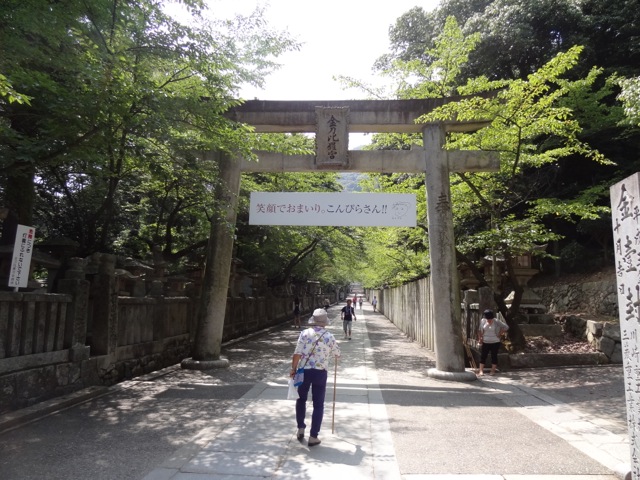 DSC02243.jpeg