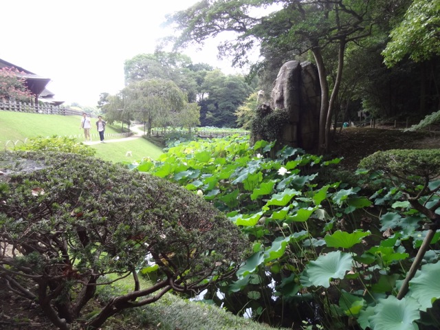 DSC02207.jpeg