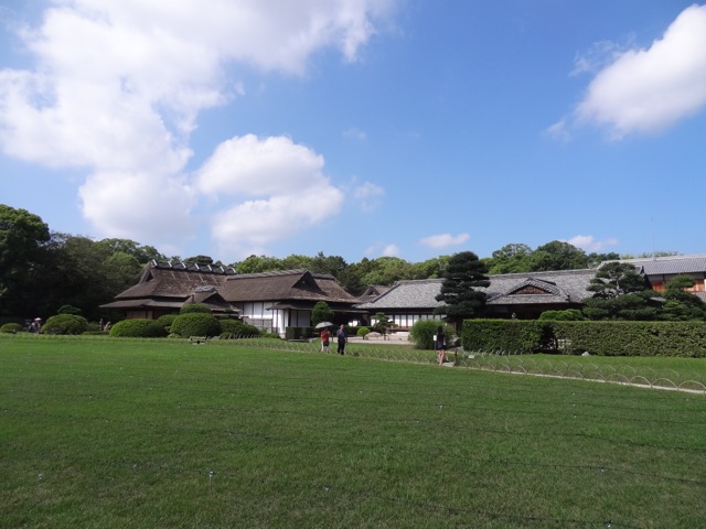 DSC02185.jpeg