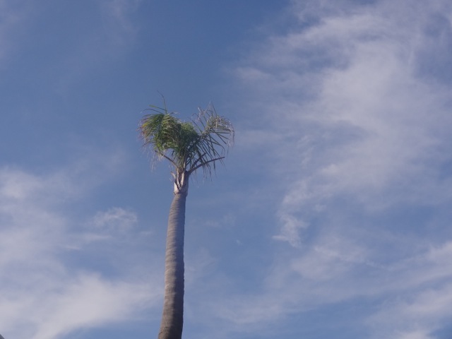 DSC02290.jpeg