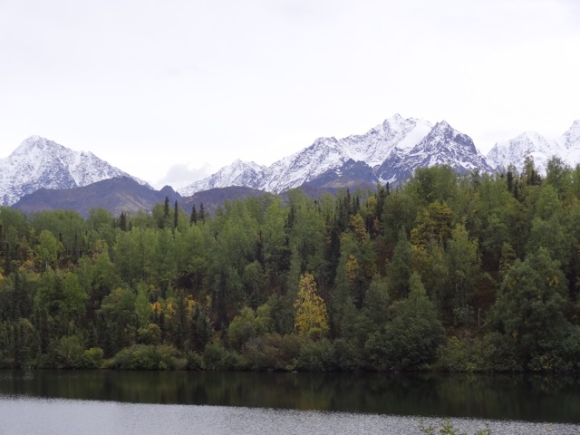 DSC02433.jpeg