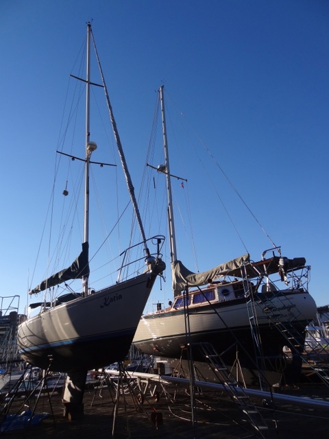 DSC02630.jpeg
