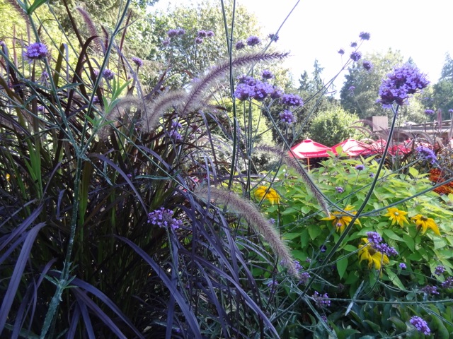 DSC02806.jpeg