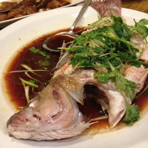 IMG_2962.jpeg