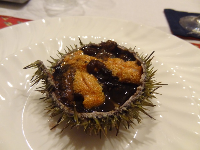 DSC03320.jpeg