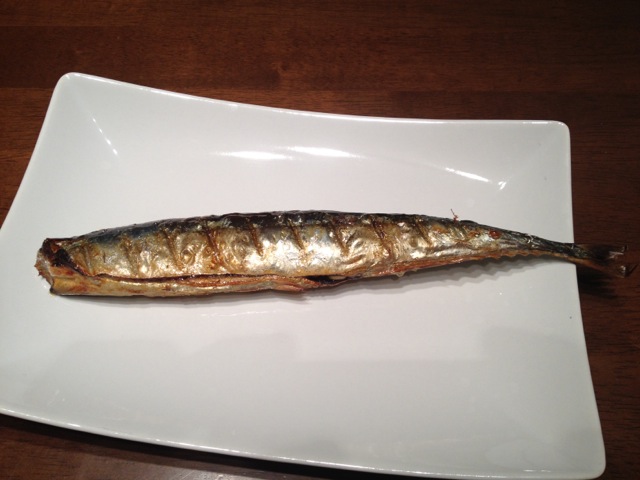 IMG_4806.jpeg