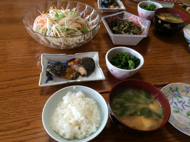 IMG_0065.jpeg