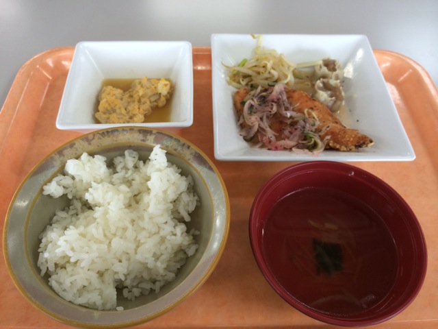IMG_0092.jpeg
