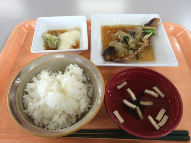 IMG_0074.jpeg