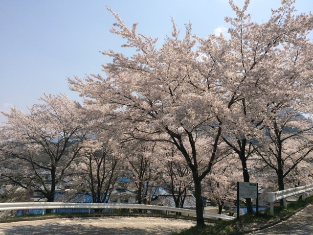IMG_0219.jpeg