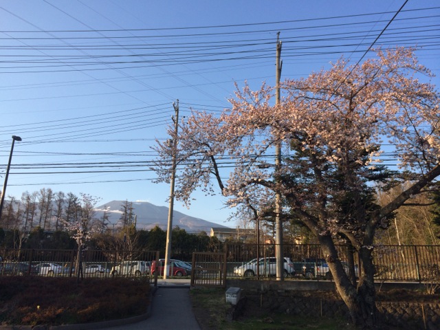 IMG_0194.jpeg